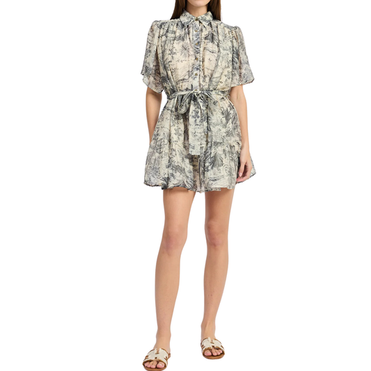 holly mini dress