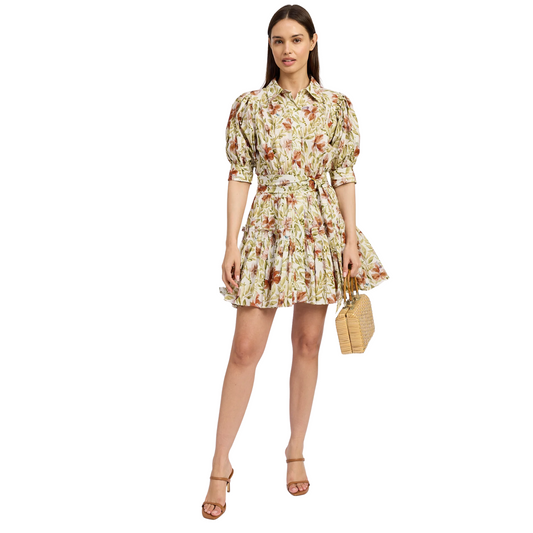 alexane dress