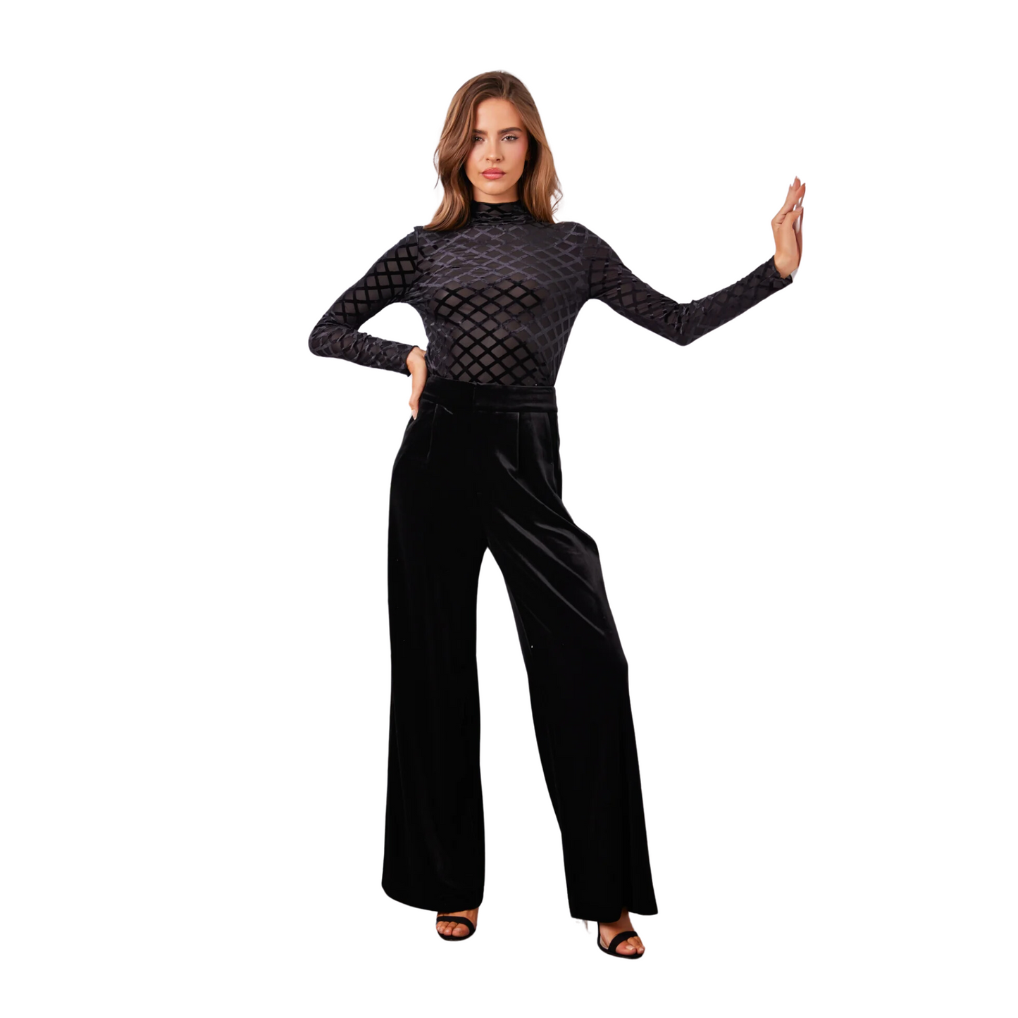 sorrento velvet pant